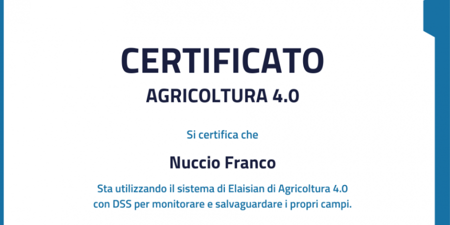 caratteristiche olio nocellara del belice